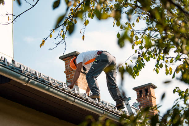 Best Roof Gutter Cleaning  in Florence, TX